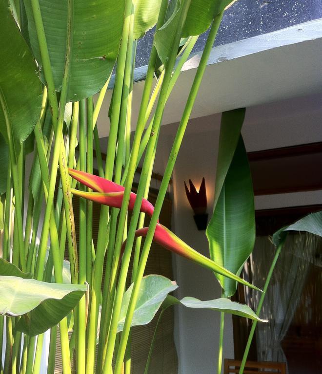 Rumah Cahaya Gili Trawangan Room photo